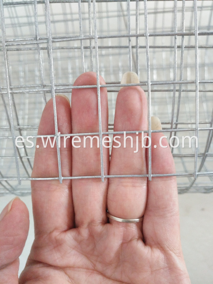 3/4 Welded Wire Mesh